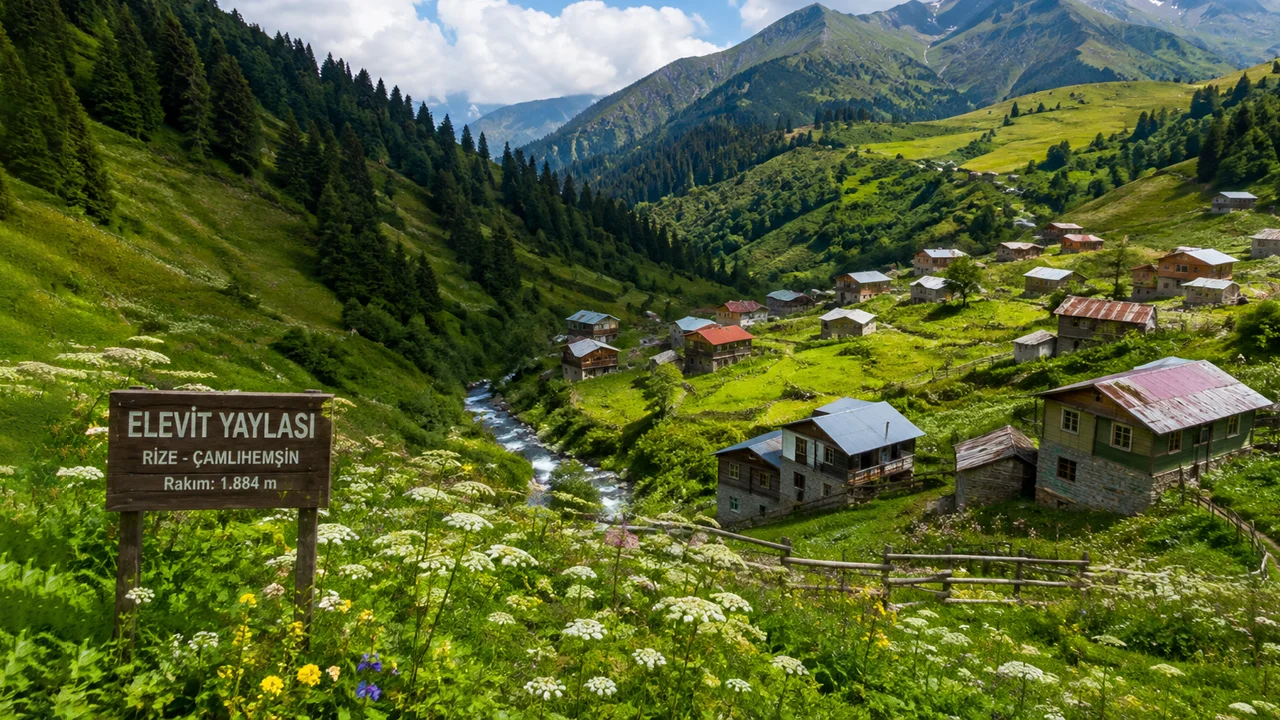 Elevit Yaylası Gezi Rehberi: Ulaşım, Gezilecek Yerler ve Konaklama